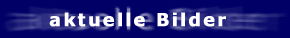 aktuelle Bilder