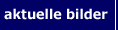 aktuelle Bilder